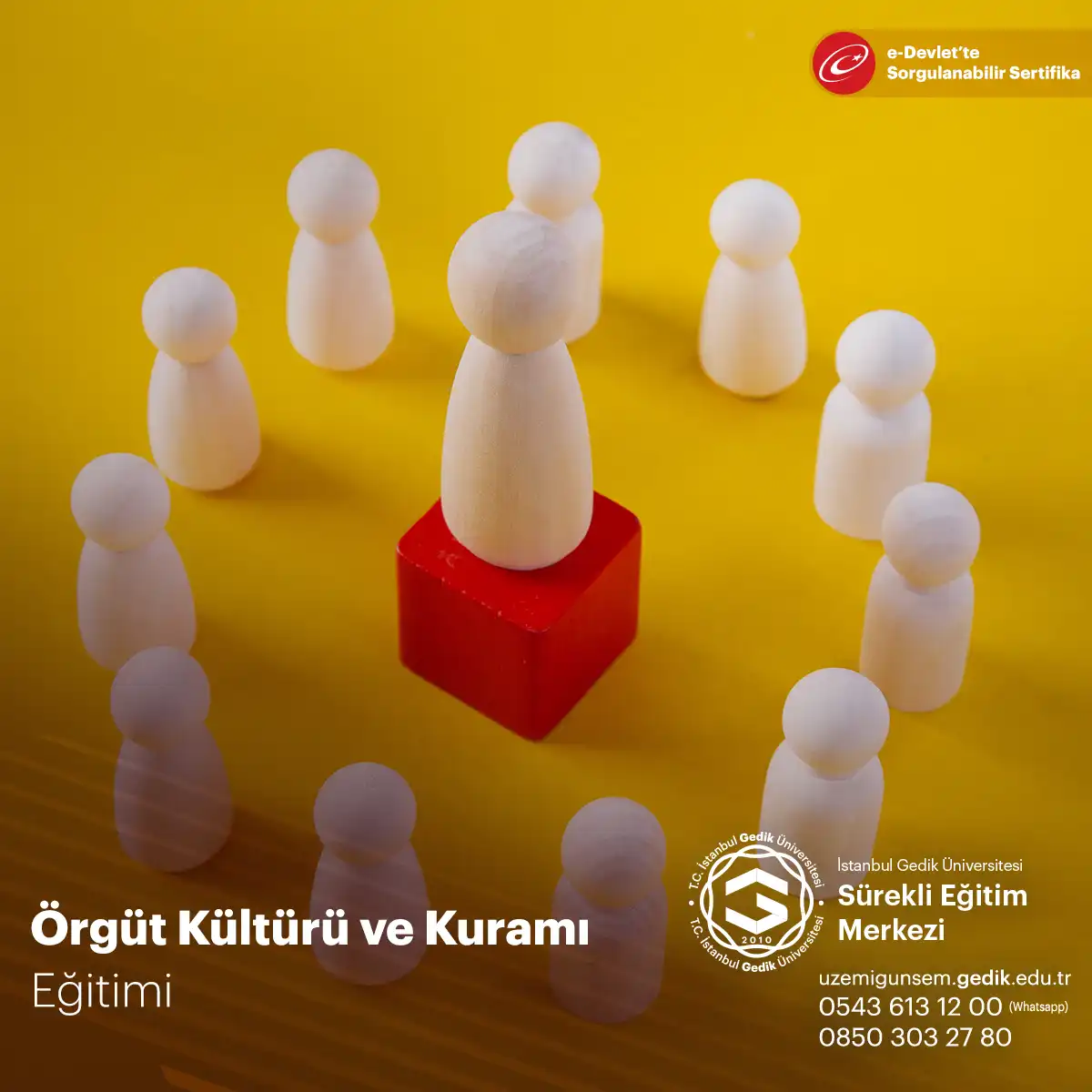 Örgüt Kültürü ve Kuramı  Sertifika Programı